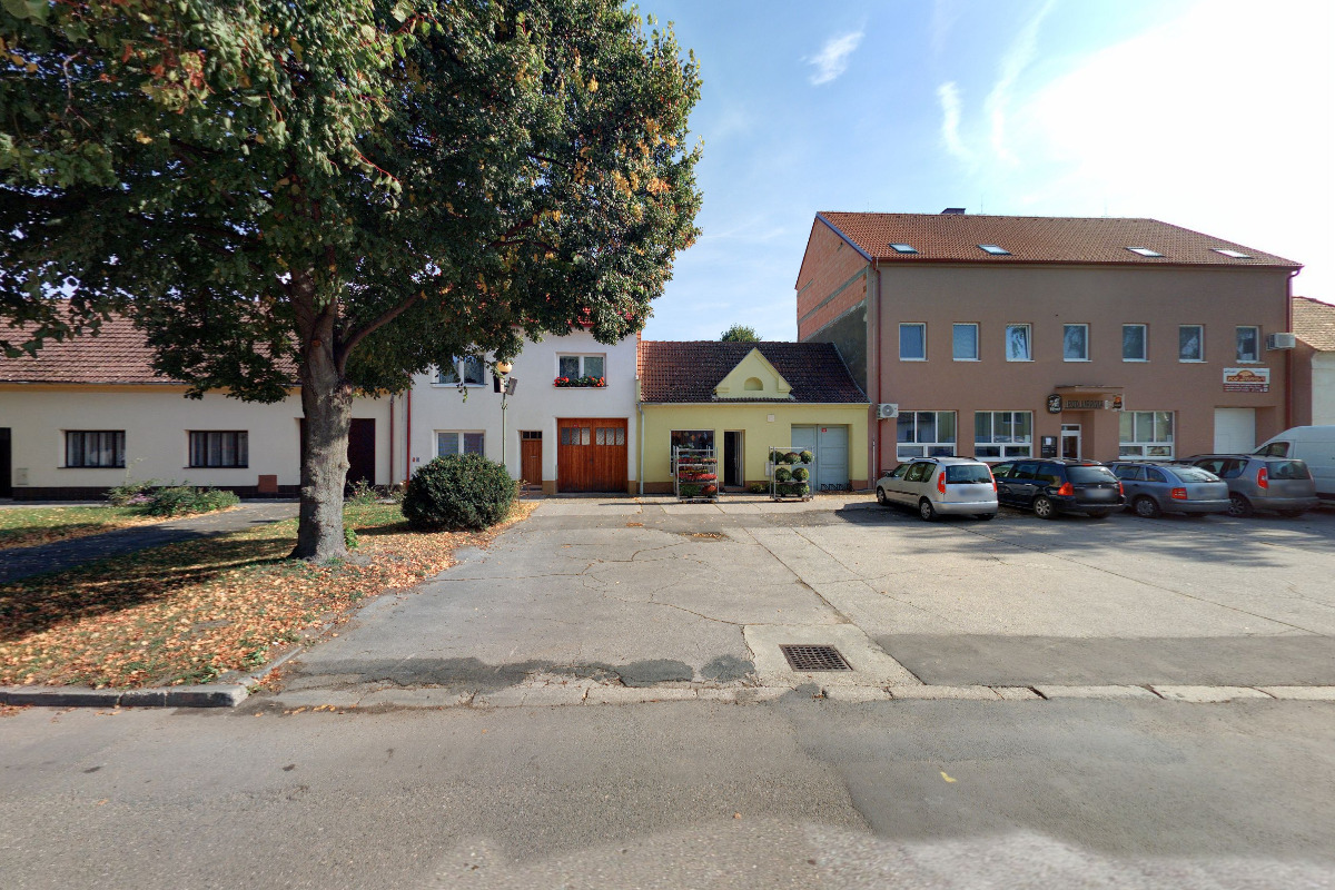 Květiny na náměstí foto 1