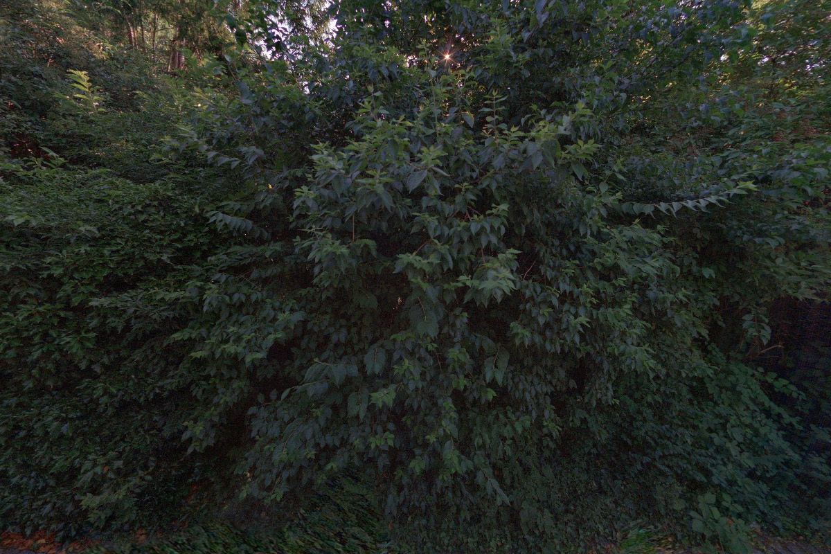 Suvenýry - Pavilon plyšáků