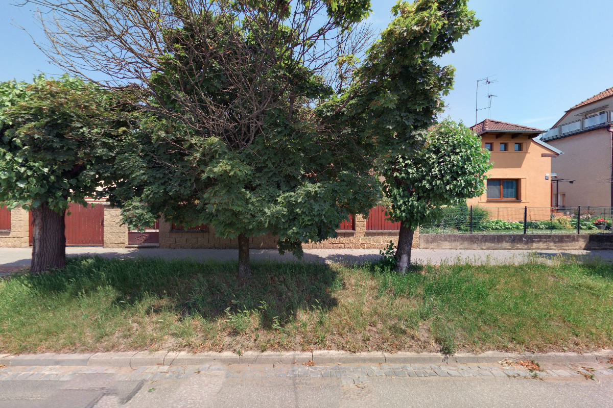 Účetnictví - Ing. Jana Ehrenbergerová foto 2