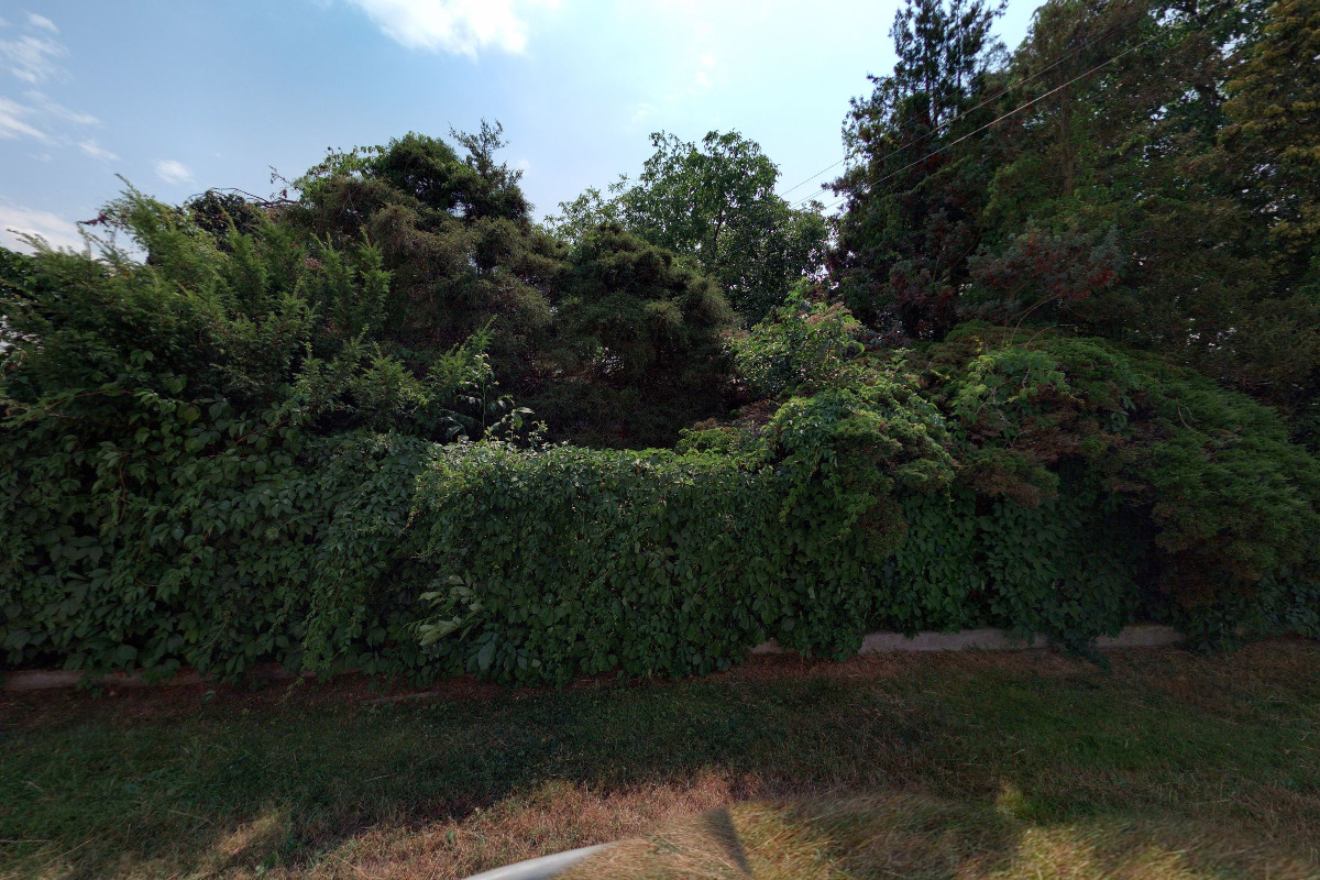 Šprojcarovo zahradnictví foto 2