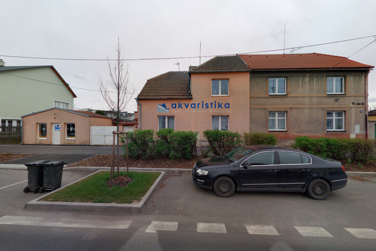 Akvaristika Dlouhý foto 2