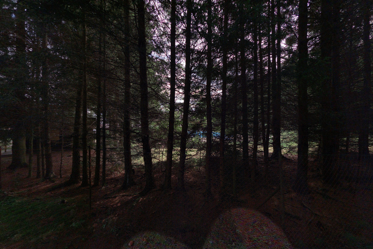 Koupaliště v Campingu Borová