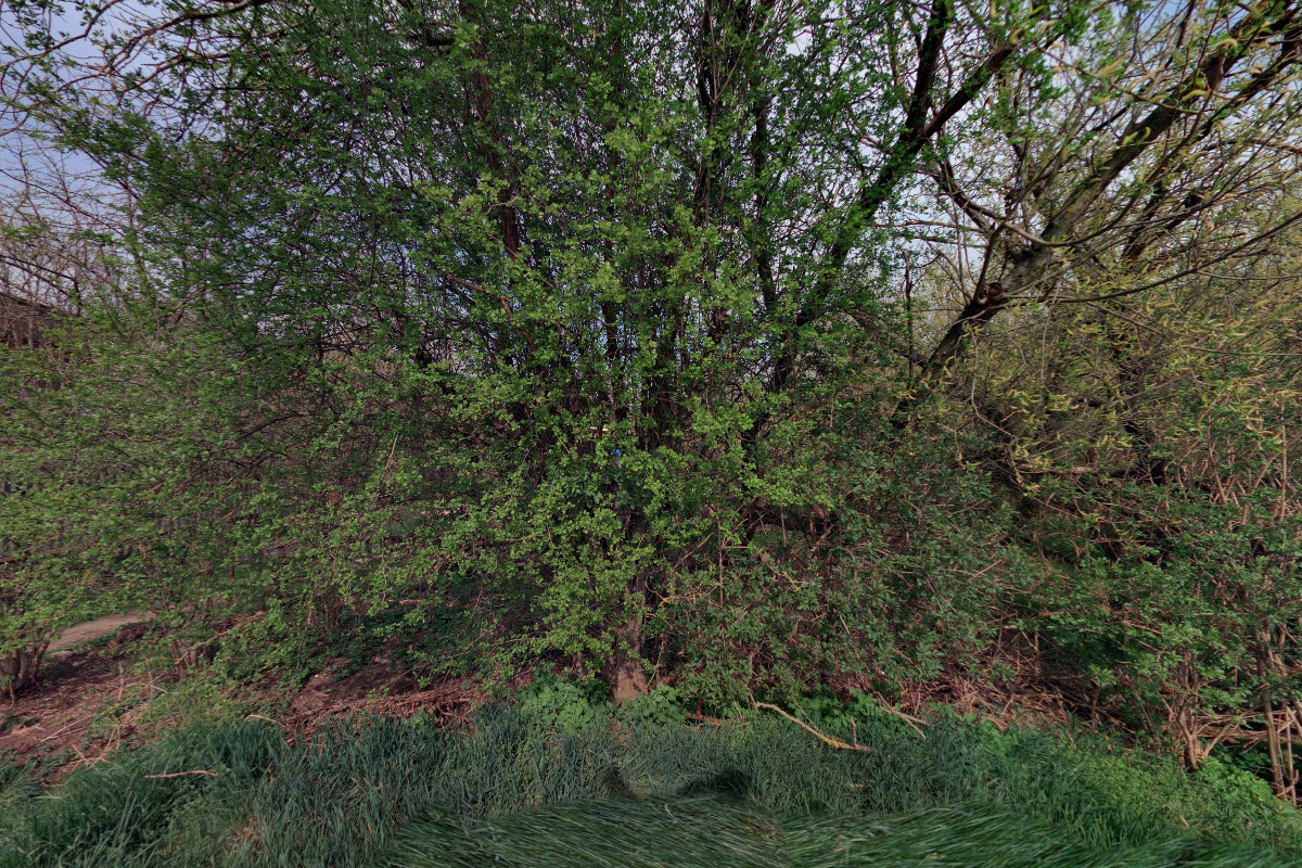 Ateliér v zahradě foto 2