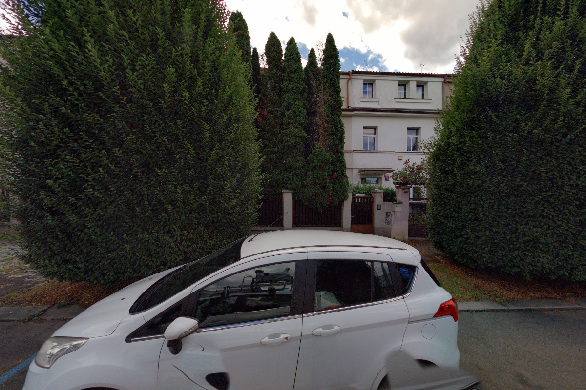 Flamingo - PhDr. Helena Chodová foto 2