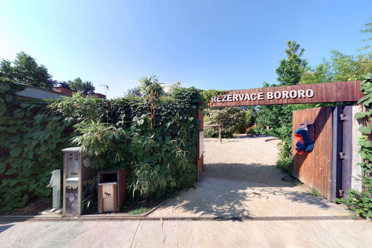 Kavárna Bororo