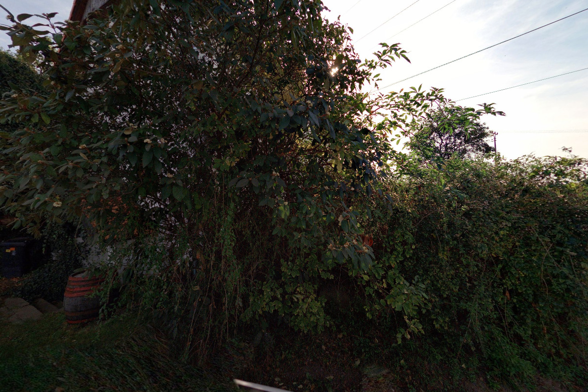 Penzion Pod Starú Horú