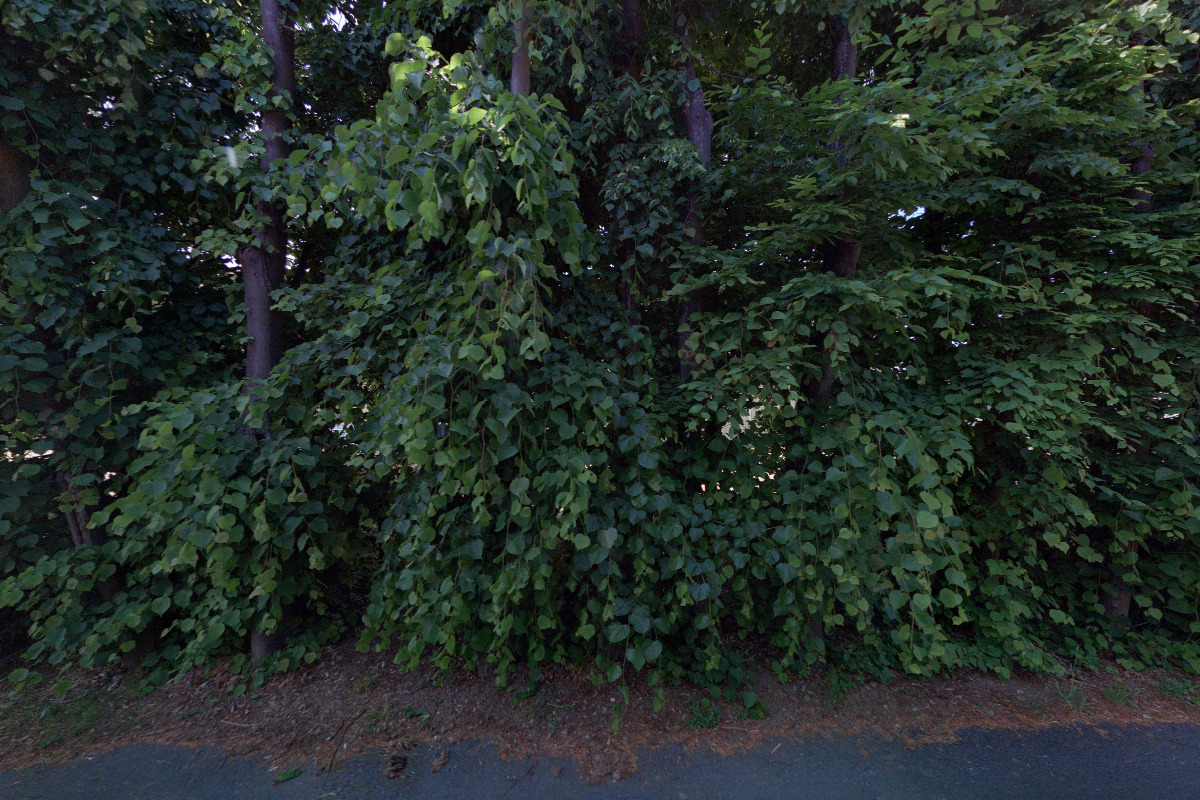 US BURGER, spol. s r.o.