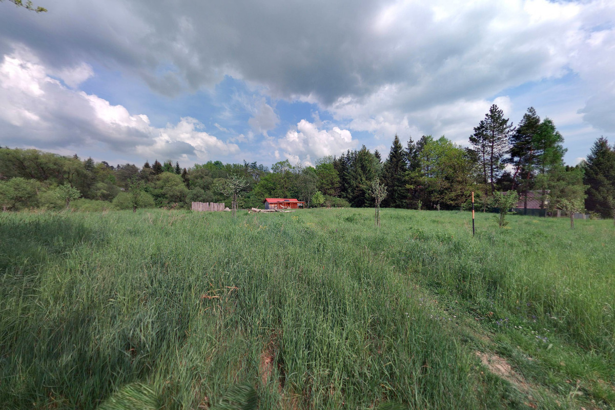 Devětsil - prožitek a výchova v přírodě