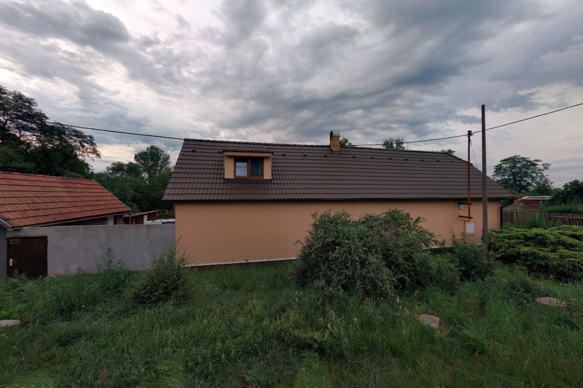 Hlídání psů Vlasta Hrabětová