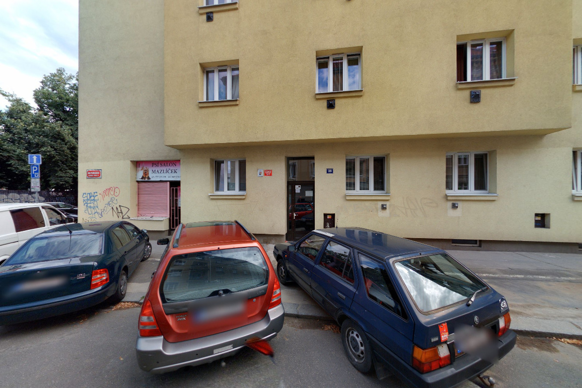 PSÍ SALÓNEK MAZLÍK