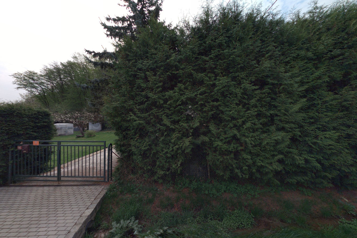 Šlesinger František - HODINOVÝ MANŽEL