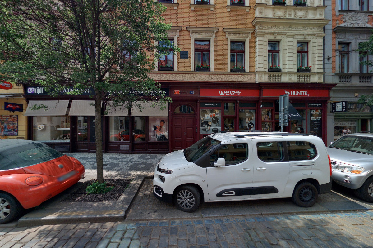 WE LOVE DOGS | HUNTER foto 2