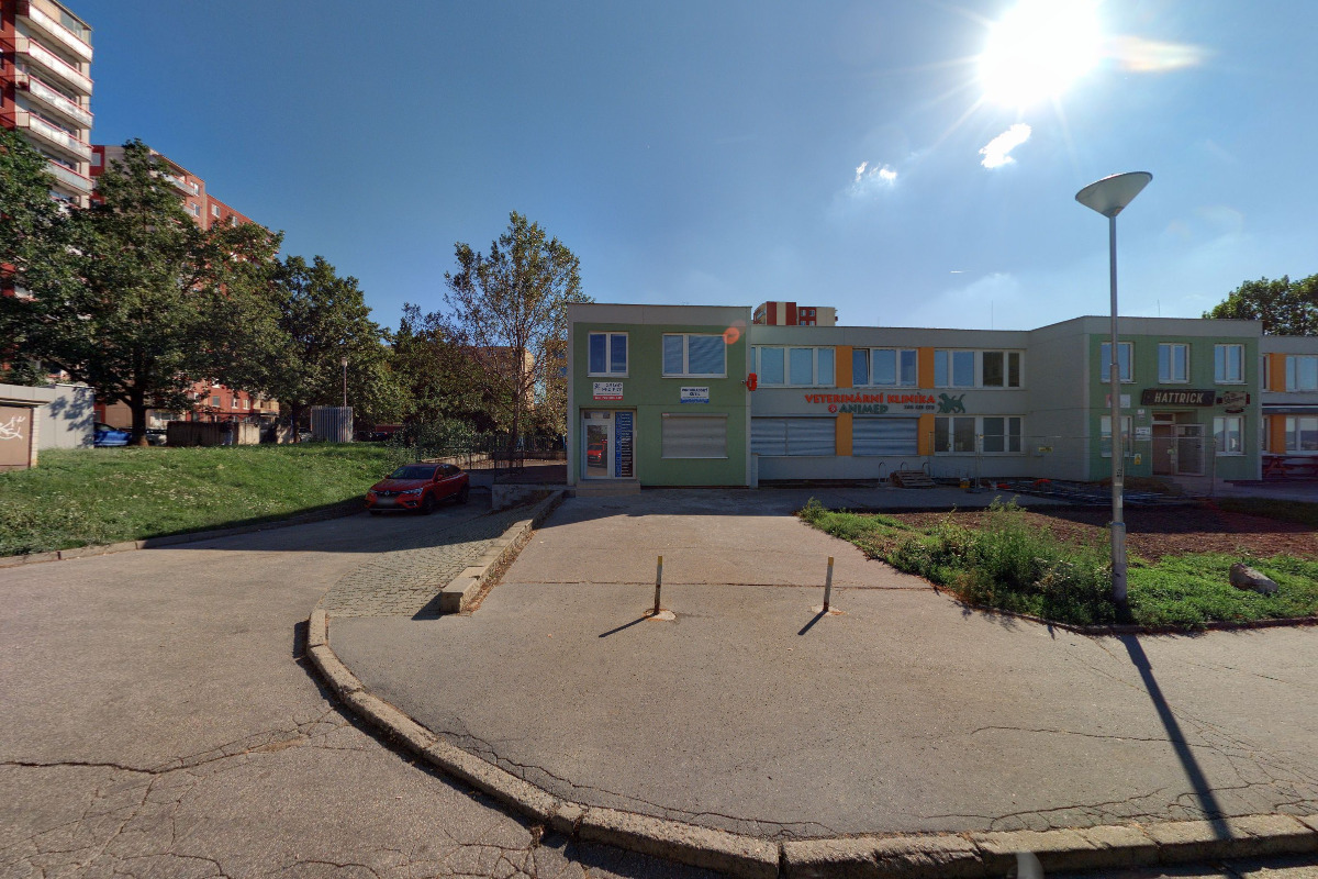 Andrea Nesnídalová - Salon pro psy