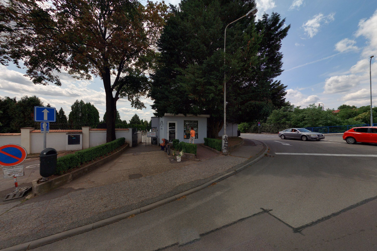 Květiny Sobotová foto 5
