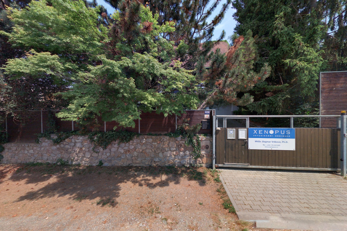 Veterinární ordinace XENOPUS foto 2