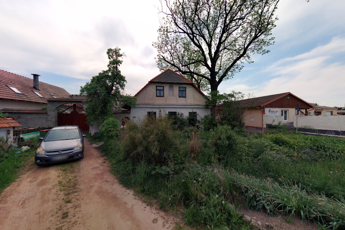 Společnost pro zachování a obnovu biodiverzity