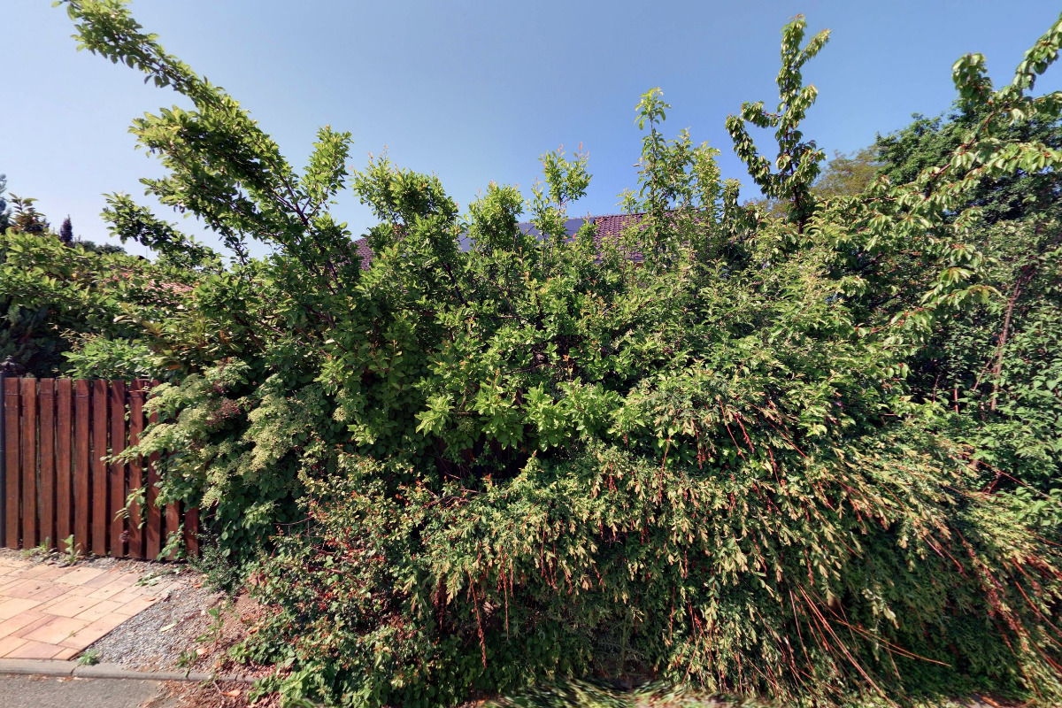 Ing. Táňa Lipowská - kurzy