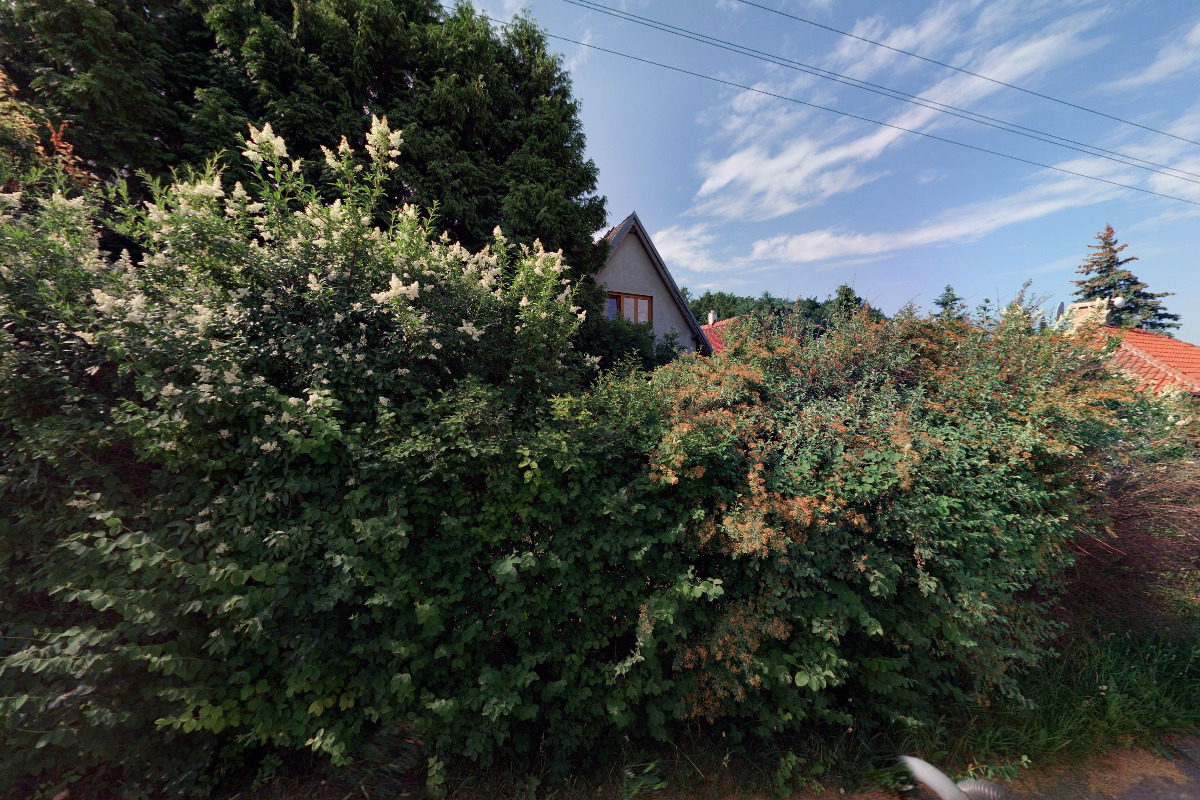 Mgr. Kateřina Košťálková