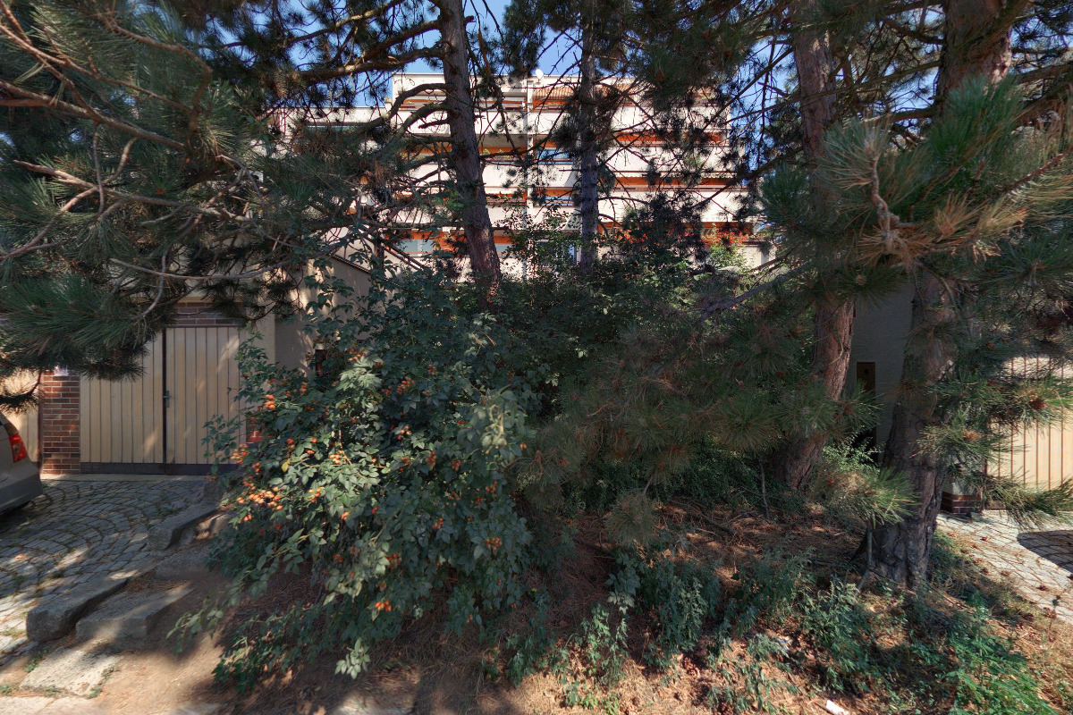 Hnutí za přímou demokracii