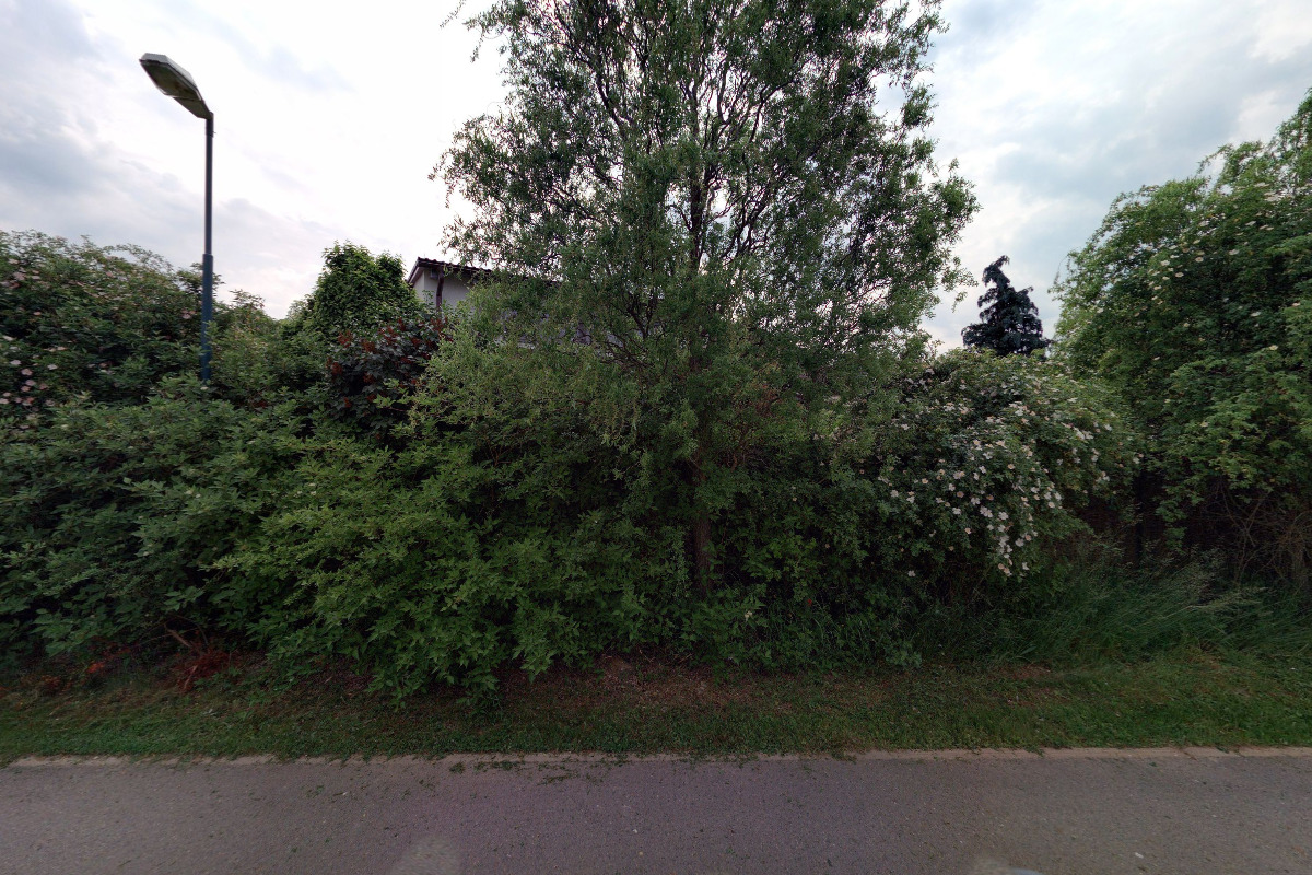 MgA. Čestmír Přindiš foto 2