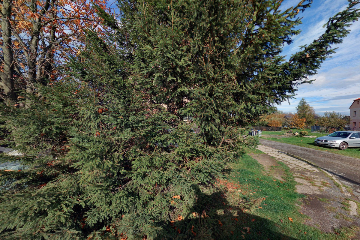 Malířství-natěračství František Műller