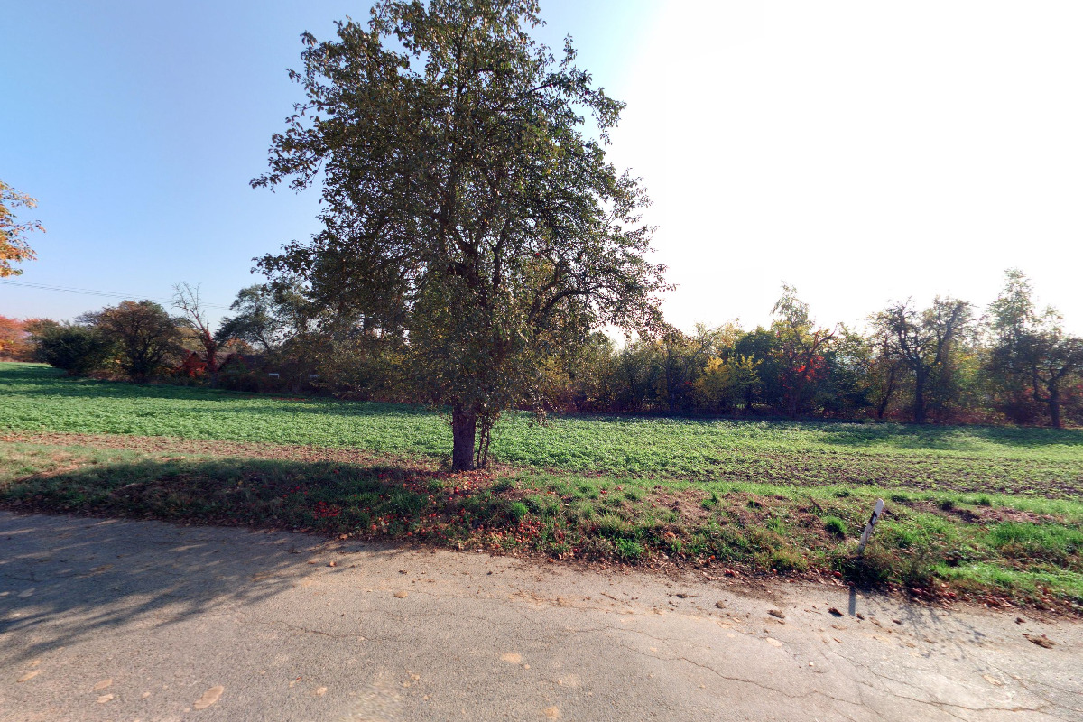 16. Pionýrská skupina DISK - Tábořiště Václav