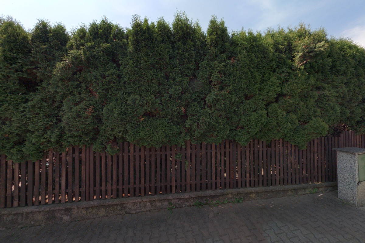 Jan Machart - Bergmania CZ