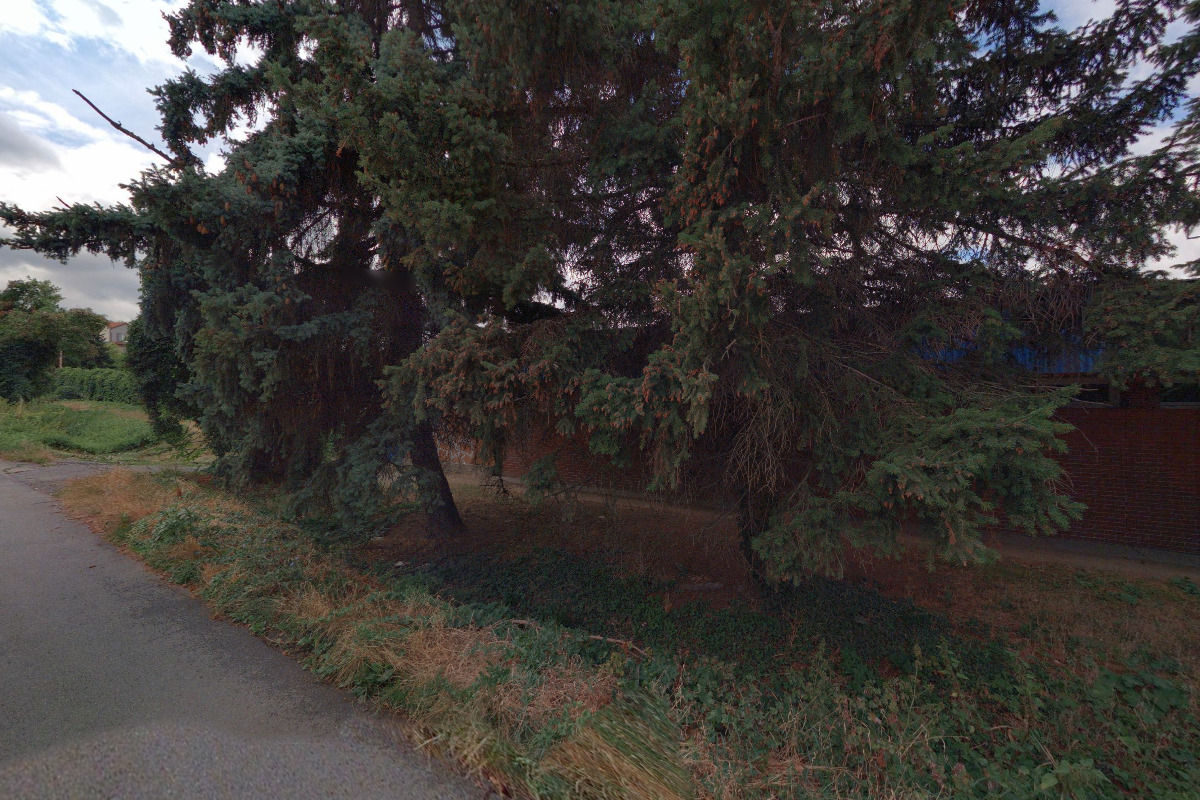 SK UNION Vršovice foto 6