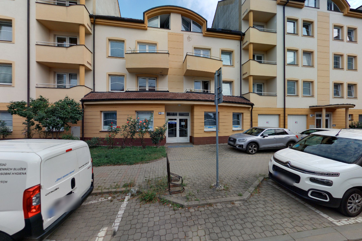 Pečovatelská služba Homediss, o.p.s. foto 2