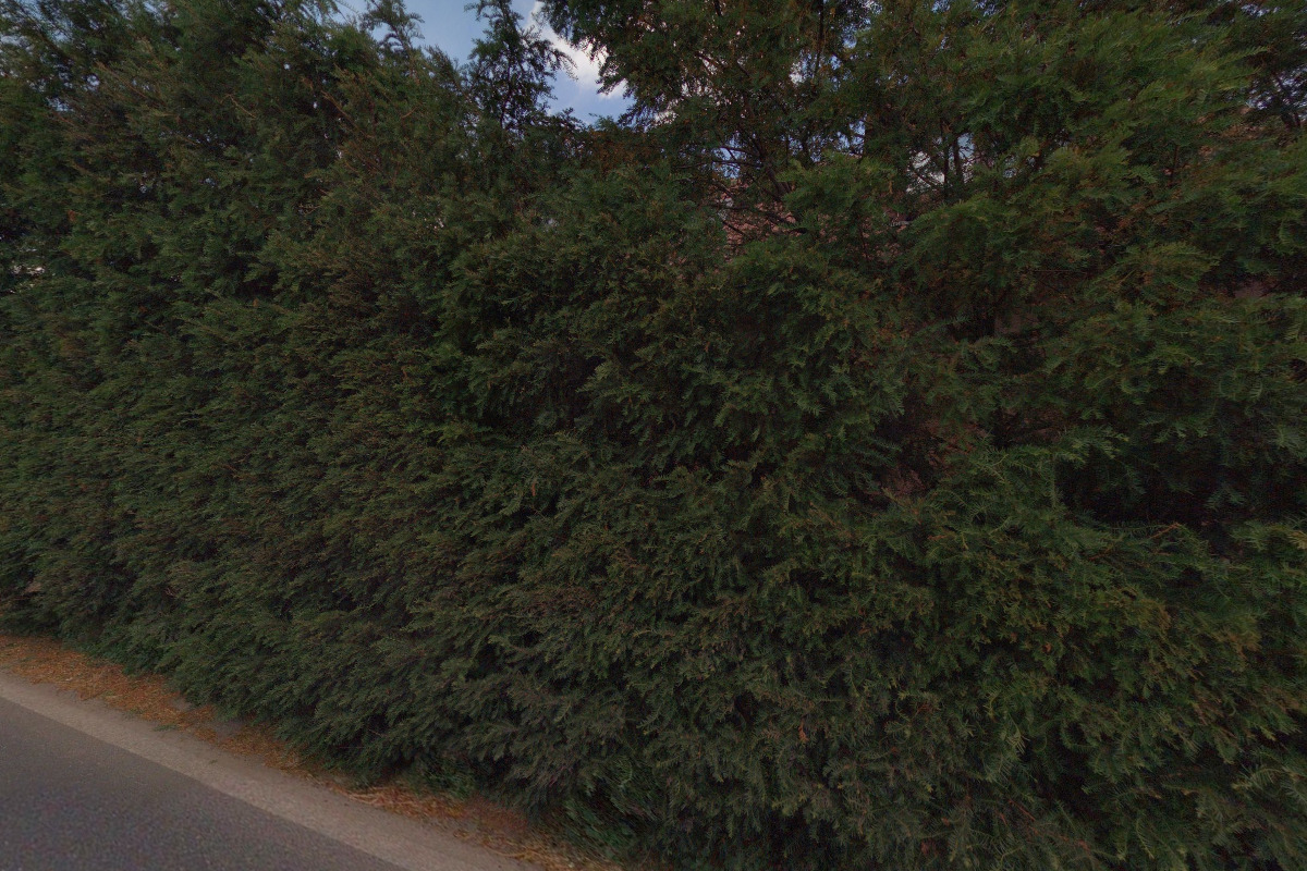 Milan Fencl - Autolakovna