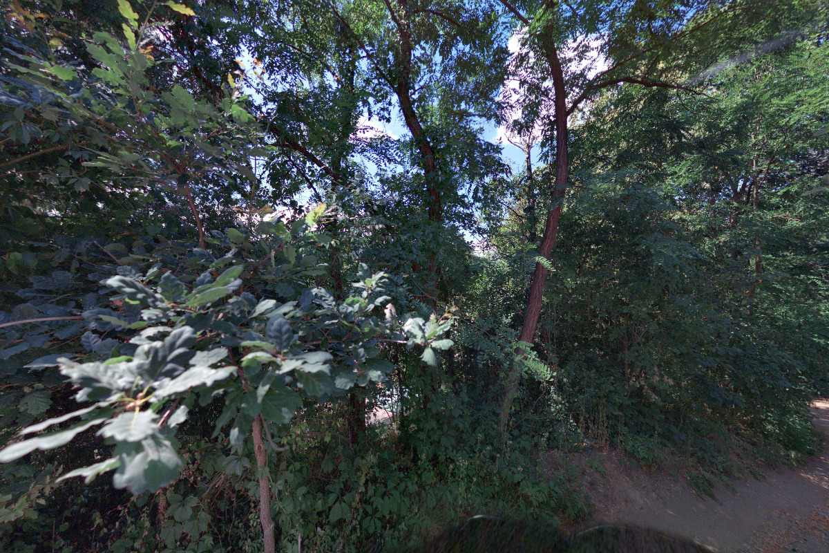 MOOD International, s.r.o.