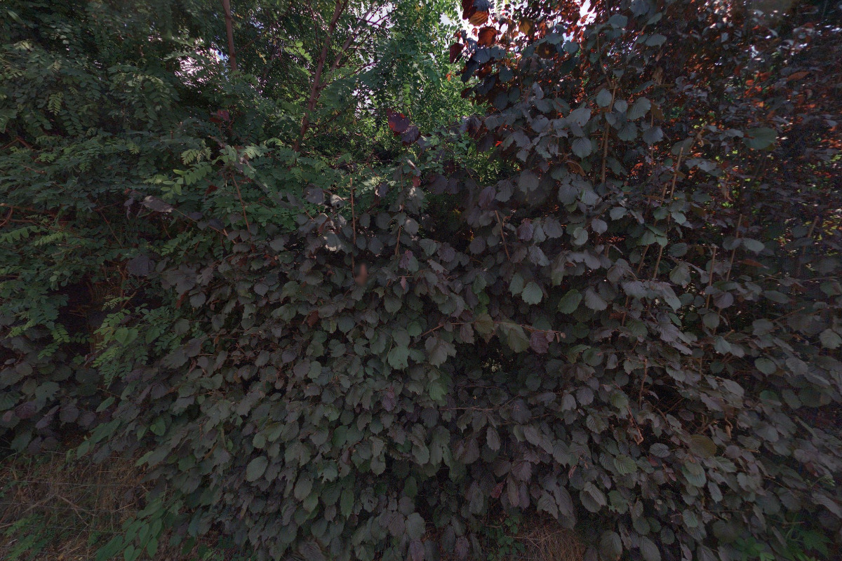 Petr Hůla - tridicky-drticky