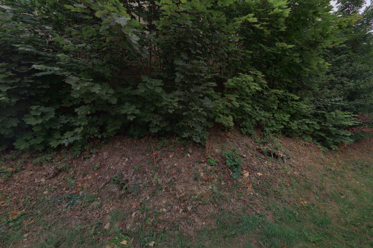 MÚ Litomyšl - Odbor městských lesů