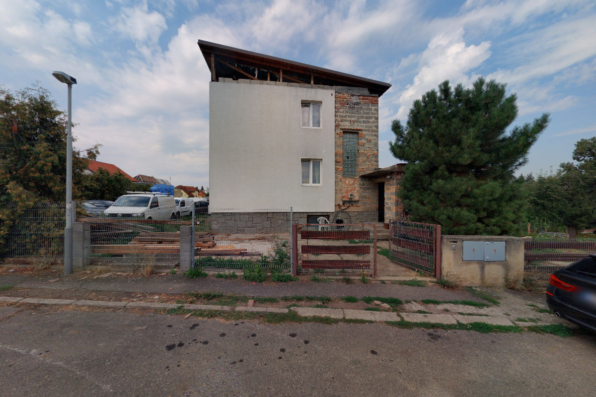 Green Pet Food Store