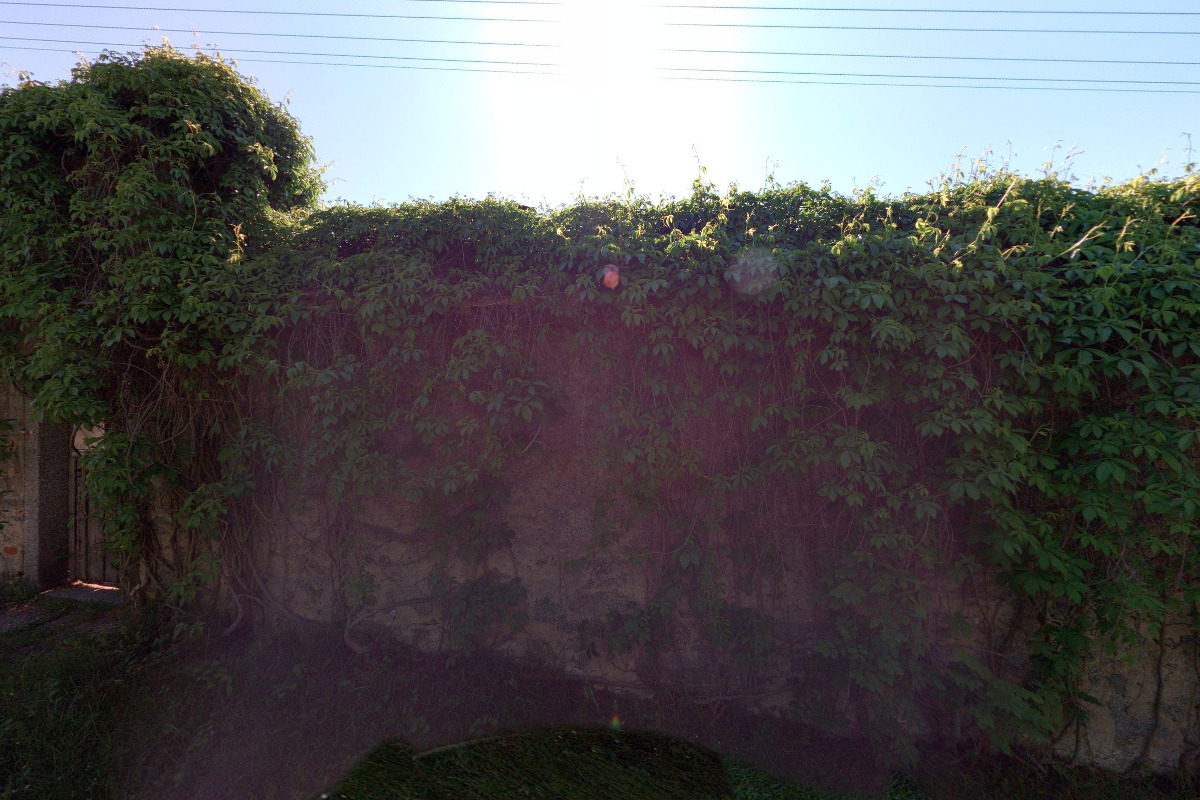 Bc. Michal Panec, DiS.