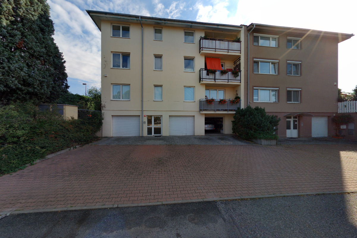 World´s Green Lungs