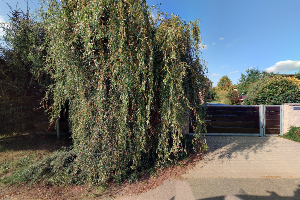 Milan Kocábek foto 2