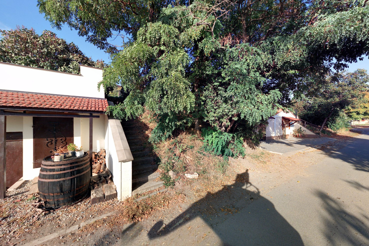 Vinice Coffeebar foto 5