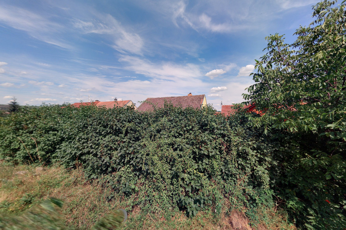 Včelařství Zdeňka Surovcová foto 4