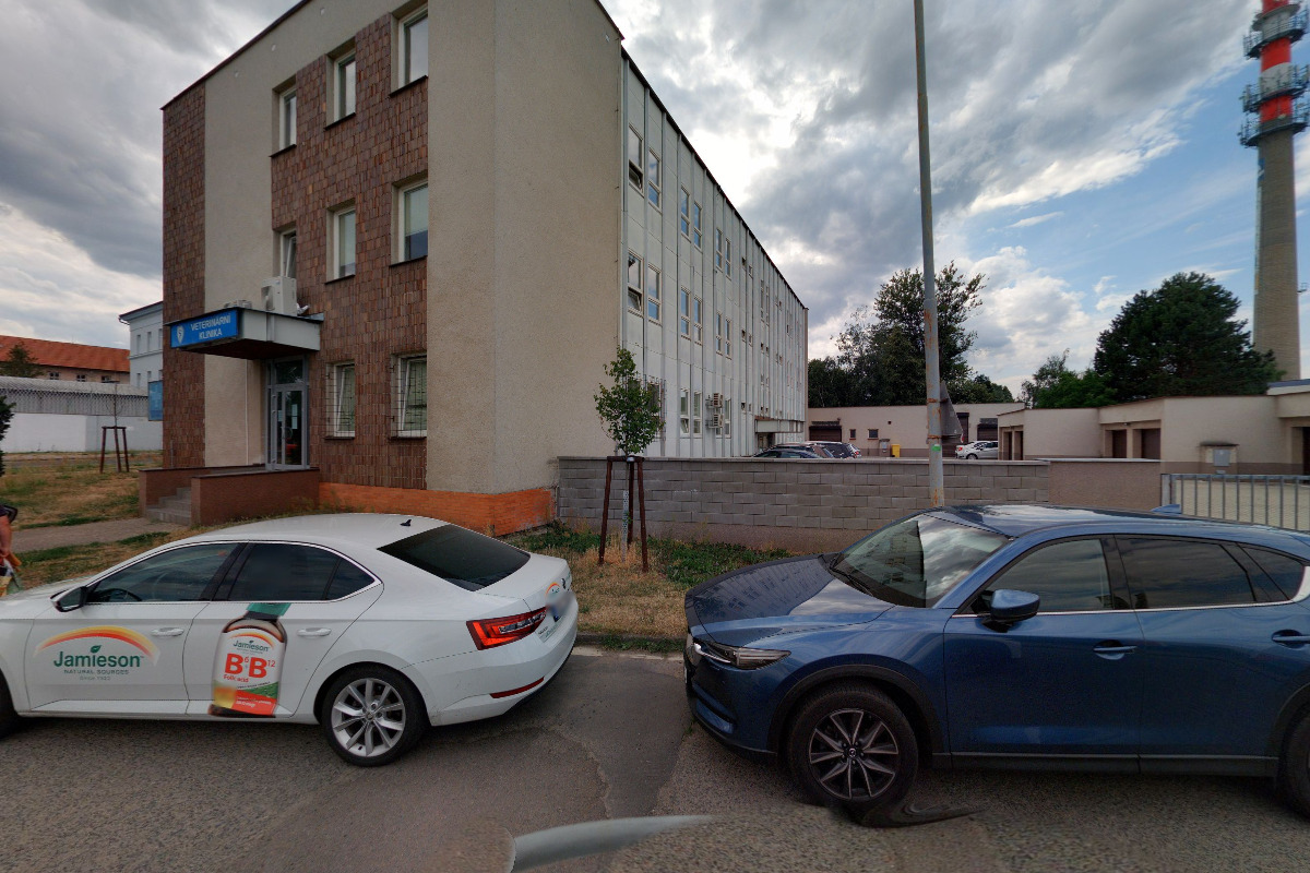 Krajská veterinární správa SVS pro Pardubický kraj foto 4