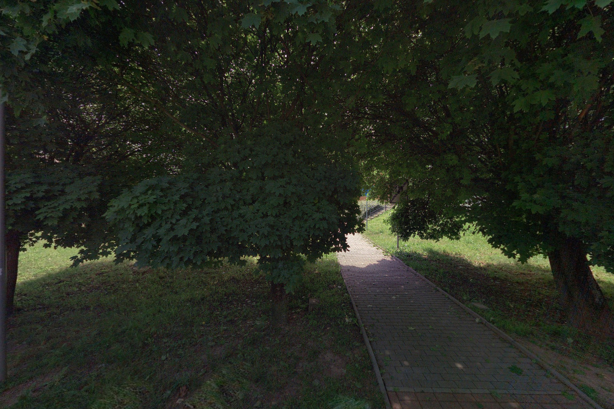 Zahradnické služby FZ foto 3