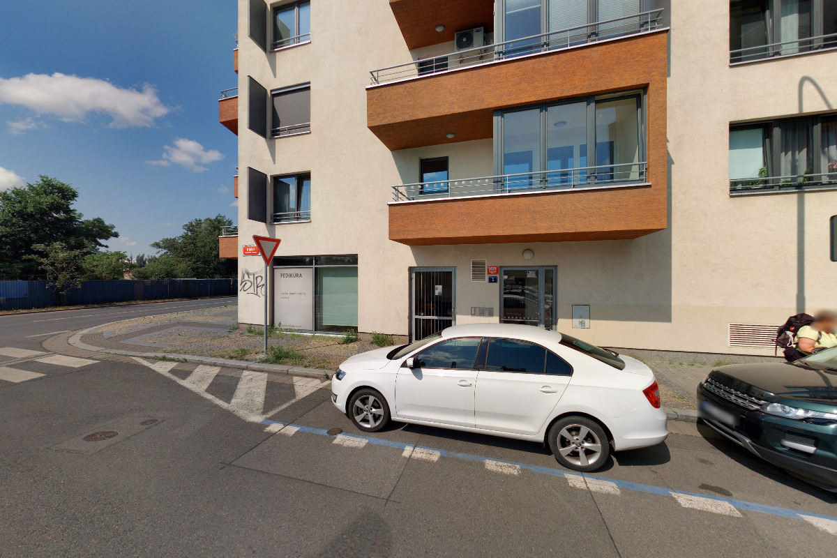 Veterinář domů - Vitalii Havryliuk, Veterinární lékař