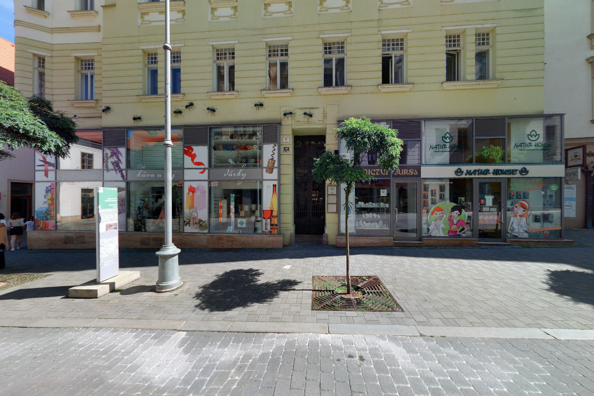 JUDr. Aleš Mendel, advokát foto 2