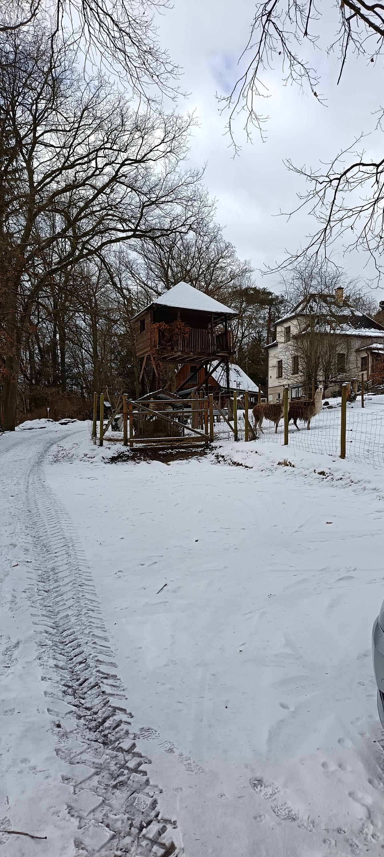 Pavlína Štyndlová foto 3