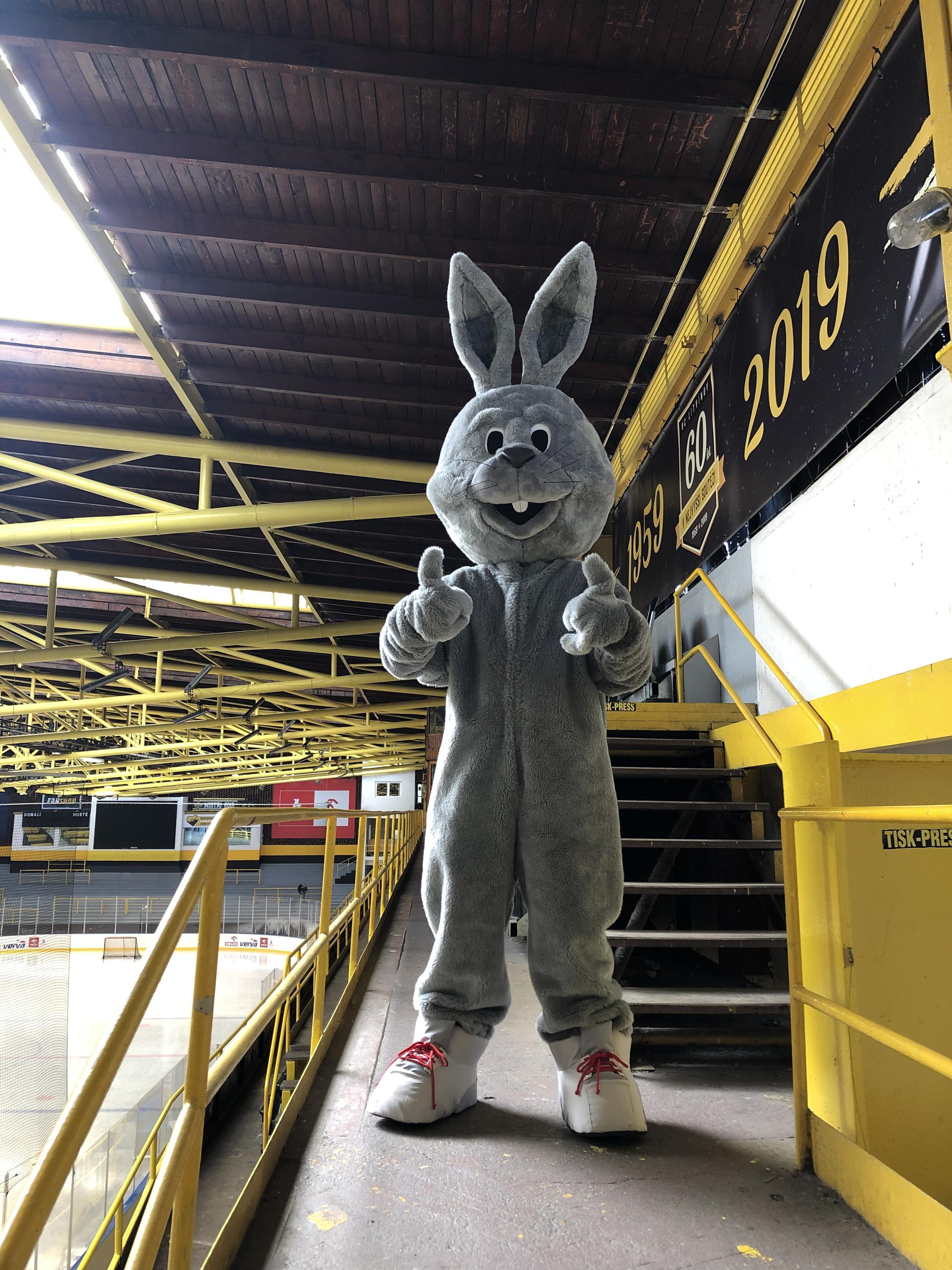 Tsch - Tschiharschová Šárka - Šicí studio foto 2