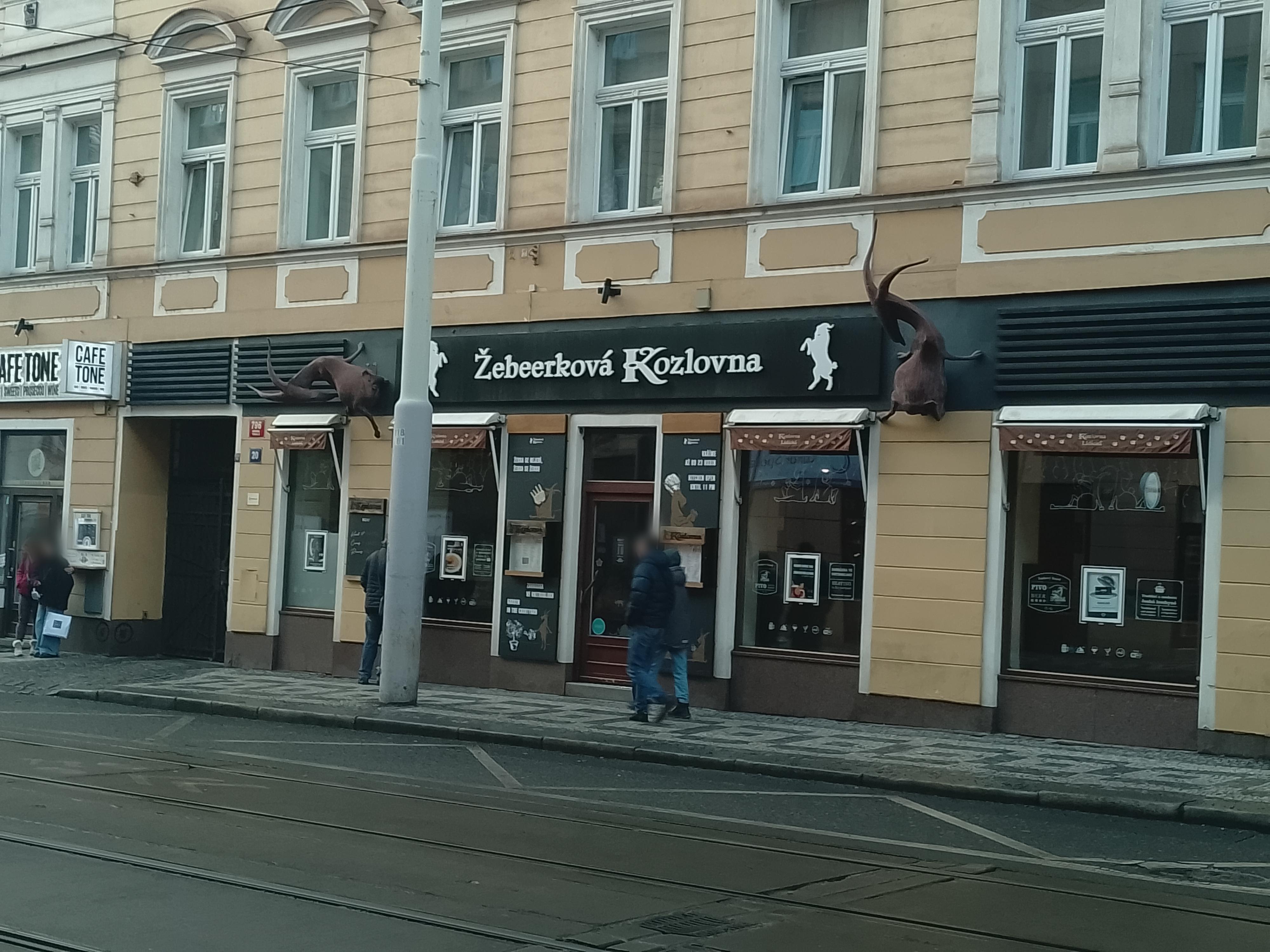 Žebeerková Kozlovna