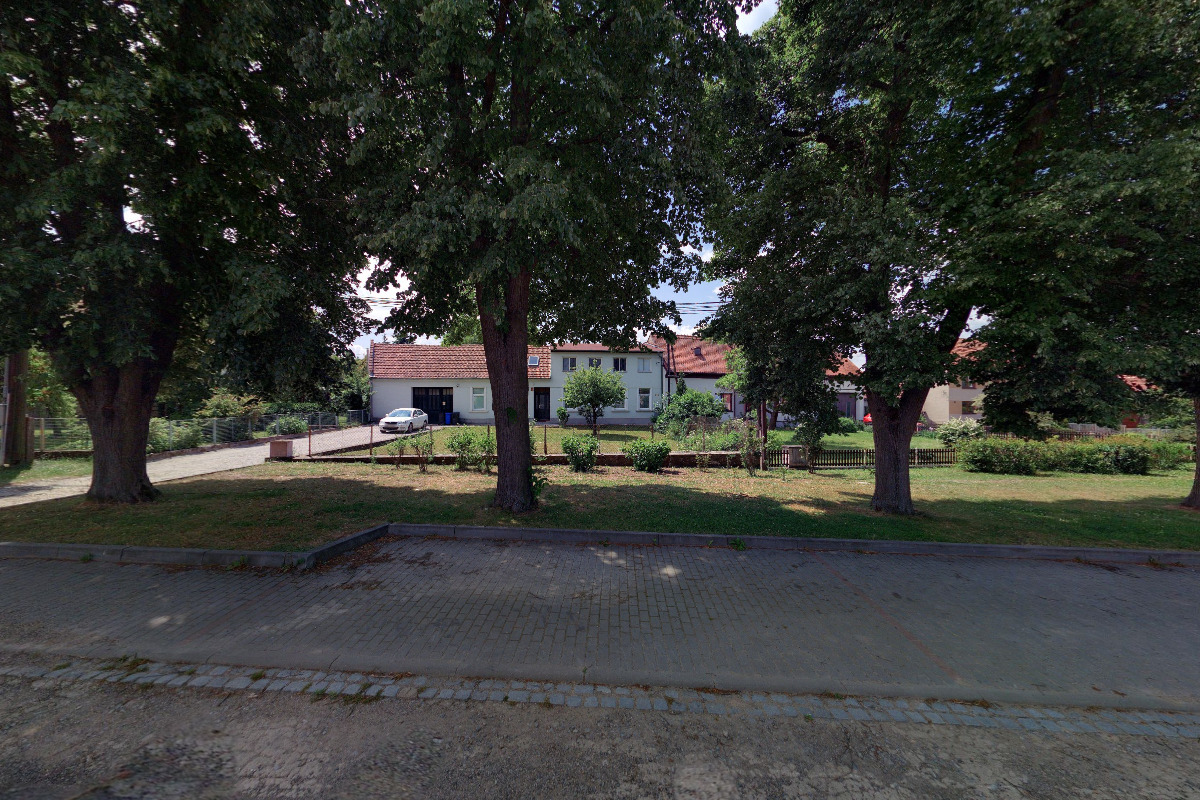 Rizikové kácení - Arbosafe foto 2