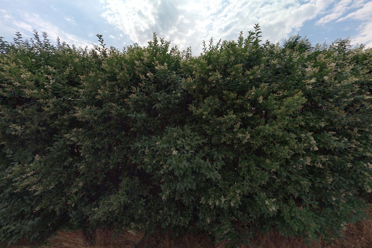Rodinná farma Vokurka Sobotovice