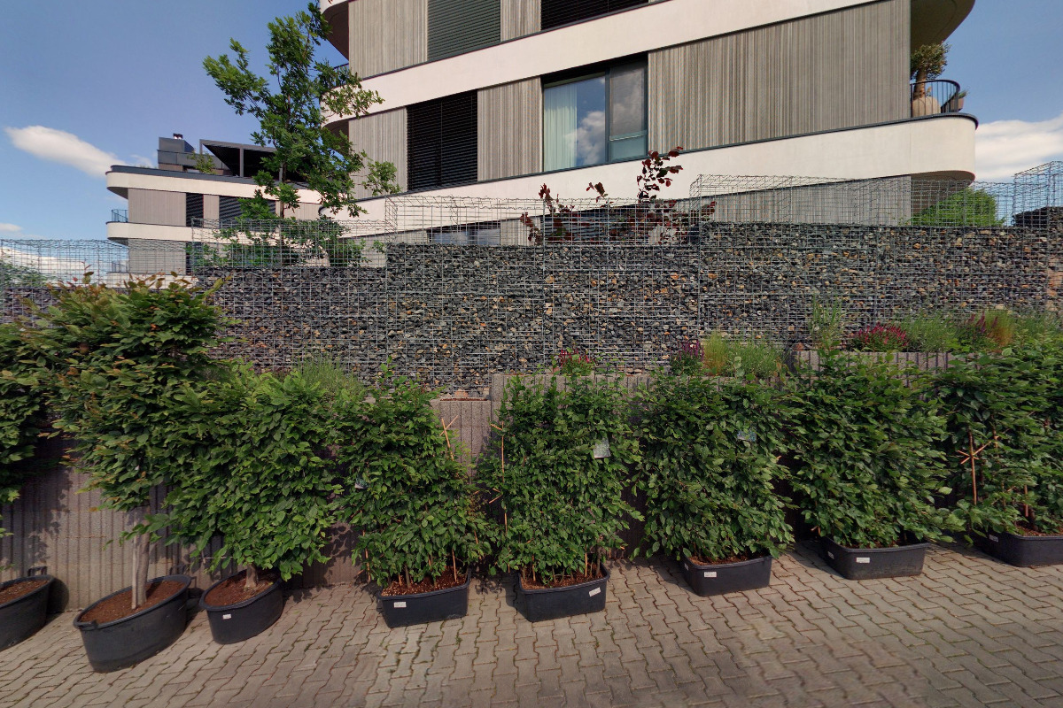 PROMEDICUS P7, s.r.o.