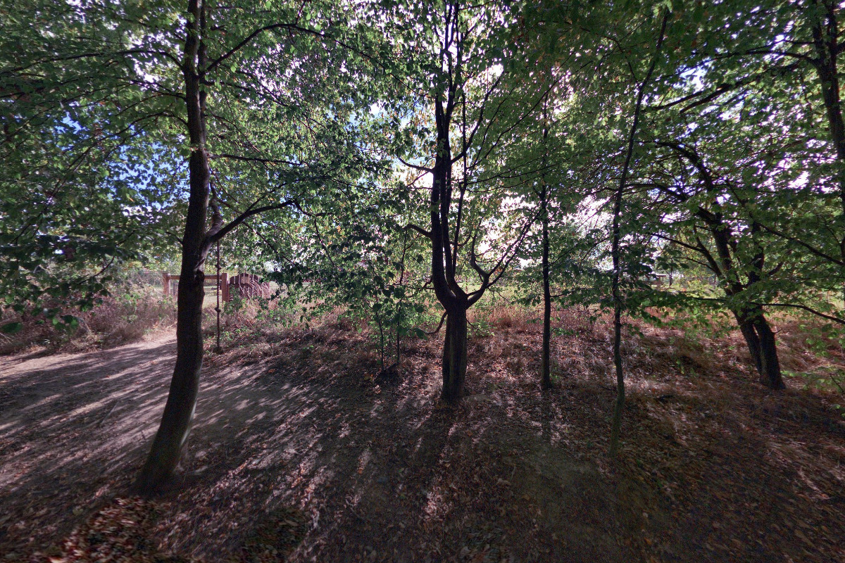 Lesní třída MŠ da Vinci